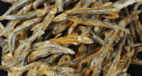 Dried boiled  Anchovy