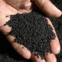 Black Cumin Seeds/ Cassia Tora Seeds/ Cumin Seed Powder