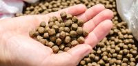 Fish Feed, Fish Meal, Poultry Meal for Fish Feed