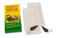 Mouse Glue Trap R-106