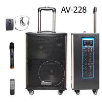 AV-228 8" 3 WAYS PORTABLE BLUETOOTH PA KARAOKE SPEAKER USB MP3 1X MIC SD HIFI