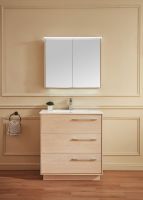 The design of Waterproof Mirror Cabinet makes convenient in your life.