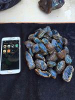 Blue amber ( Sample Available )