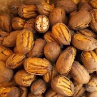 Pecan nuts