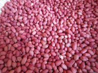 Groundnuts(peanuts)