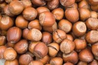 Hazelnuts(filberts)