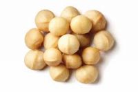 Macadamia nuts