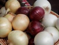 Fresh Red , Yellow and White Onion