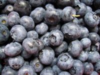 Blueberries