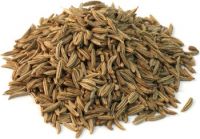 Caraway Seed 