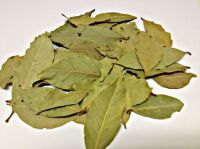 Bay Leaf