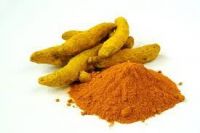 Dried Root Powder Turmeric