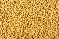 Fenugreek Seed 