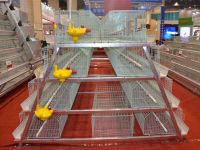 Factory chicken cage broiler and layer