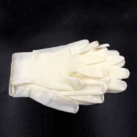 latex gloves cheap powdered latex gloves