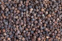 Spices products black pepper 550gl/ 500gl/whole black pepper white pepper