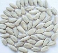 sunflower kernels(bakery grade)