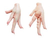 Halal Chicken Paws/ Frozen Chicken Paws 