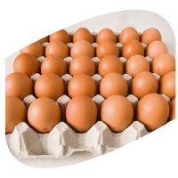 Farm Fresh Chicken Table Eggs Brown and White Shell Chicken Eggs