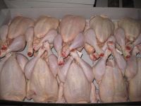 Halal Thai Frozen Whole Chicken / Chicken Feet / Wings and other Parts