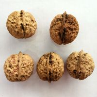 Walnuts in shell and walnuts kernel