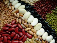 Red Speckled and Light Speckled Kidney Beans / Sugar Beans for sale