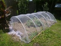 Anti Insects Net