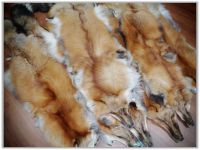 Red fox fur skins from LEOSKIN FURS