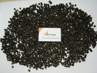 VIETNAM BLACK PEPPER FAQ 500, HIGH QUALITY, +84 965690806