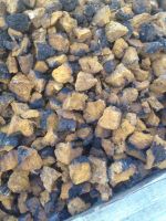 Chaga mushrooms packed in 16 kg bags