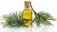 Ethereal Pine oil