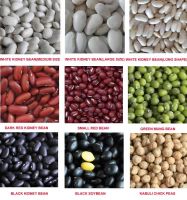  Green mung beans, kidney beans, navy beans 