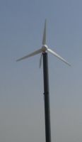 https://www.tradekey.com/product_view/2kw-Wind-Turbine-482015.html