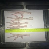 Frozen chicken feet grade C