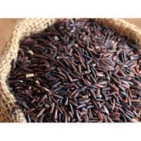 High Quality Long-Grain Organic Black Rice for Sale