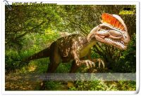 Animatronic Dinosaurs outdoor theme park
