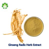 nature made ginseng radix herb extract life extension