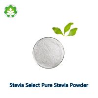 sugar free sweetener stevia powder extract p.e