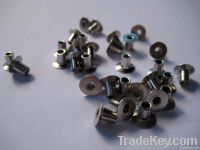 https://www.tradekey.com/product_view/4mm-5mm-6mm-Diameter-Fully-Tubular-Steel-Coated-With-Yellow-Zinc-Clutch-Facing-Rivet-593878.html