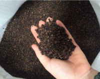 Vietnam Black Pepper