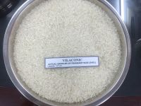 5451 rice ( fragrant rice)