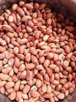 Groundnut | Raw Groundnut | Peanut | High Quality Groundnut