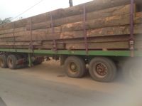 cut and treated timber from angola