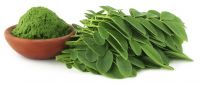 ORGANIC MORINGA POWDER