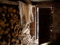 High Quality Reindeer Hides