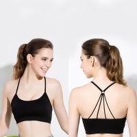 ladies anti-bacterial various colors cheap price wholesale sports bra