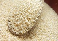 We can supply Sesame seeds S42