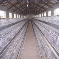 https://es.tradekey.com/product_view/Agriculture-Farming-Breeder-Equipement-Broiler-Chicken-Raising-Cage-8760838.html