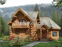 Cozy Log house