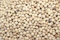 Quality white pepper berries from malaysia, south east asia direct from farmers, spices, food, hu jiao